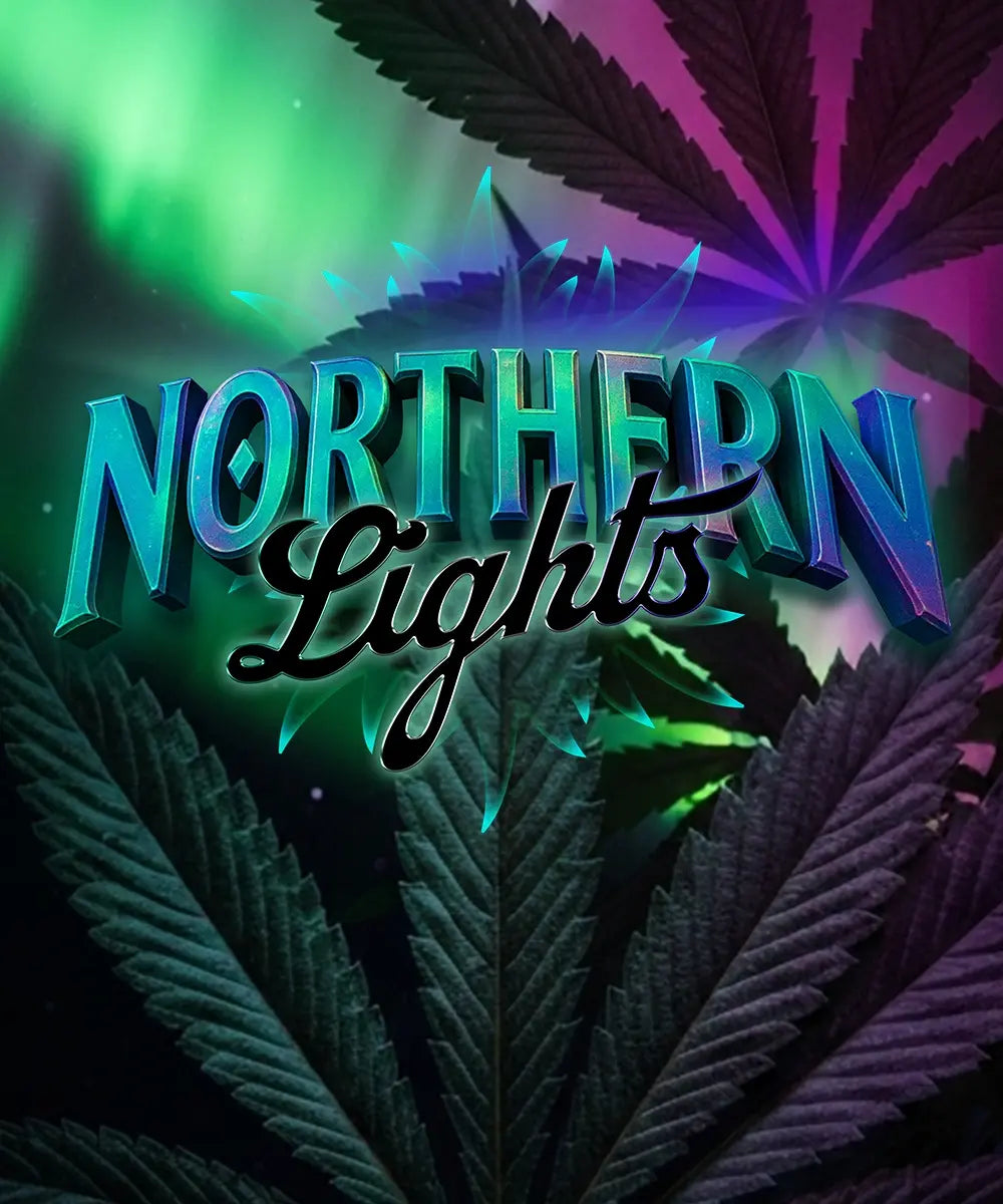 NORTHERN LIGHTS STRAIN