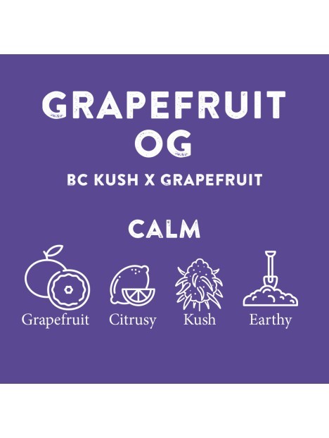 TERPENE PROFILES (5ML)
