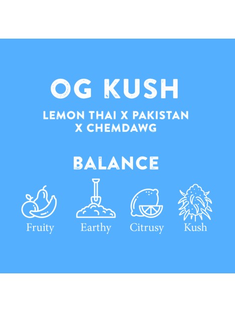 TERPENE PROFILES (5ML)