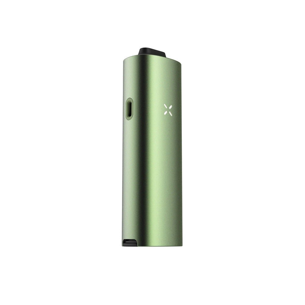 PAX 4 - SeedySide