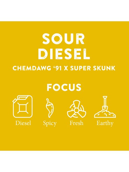TERPENE PROFILES (5ML)