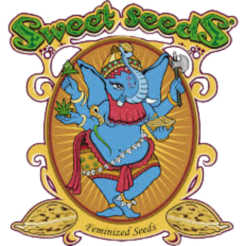 SWEET SEEDS Auto - SeedySide
