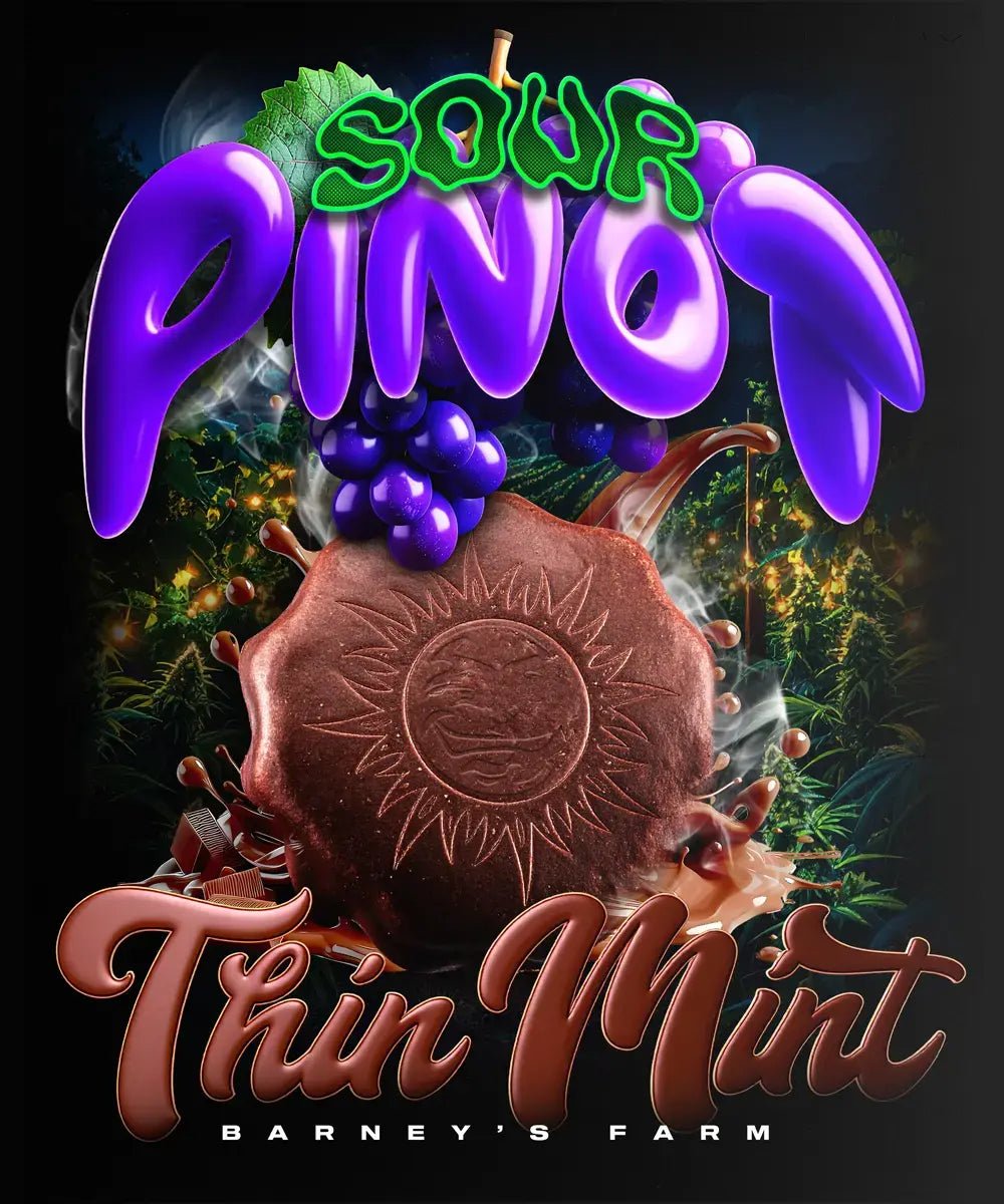 THIN MINT X SOUR PINOT AUTO STRAIN - SeedySide